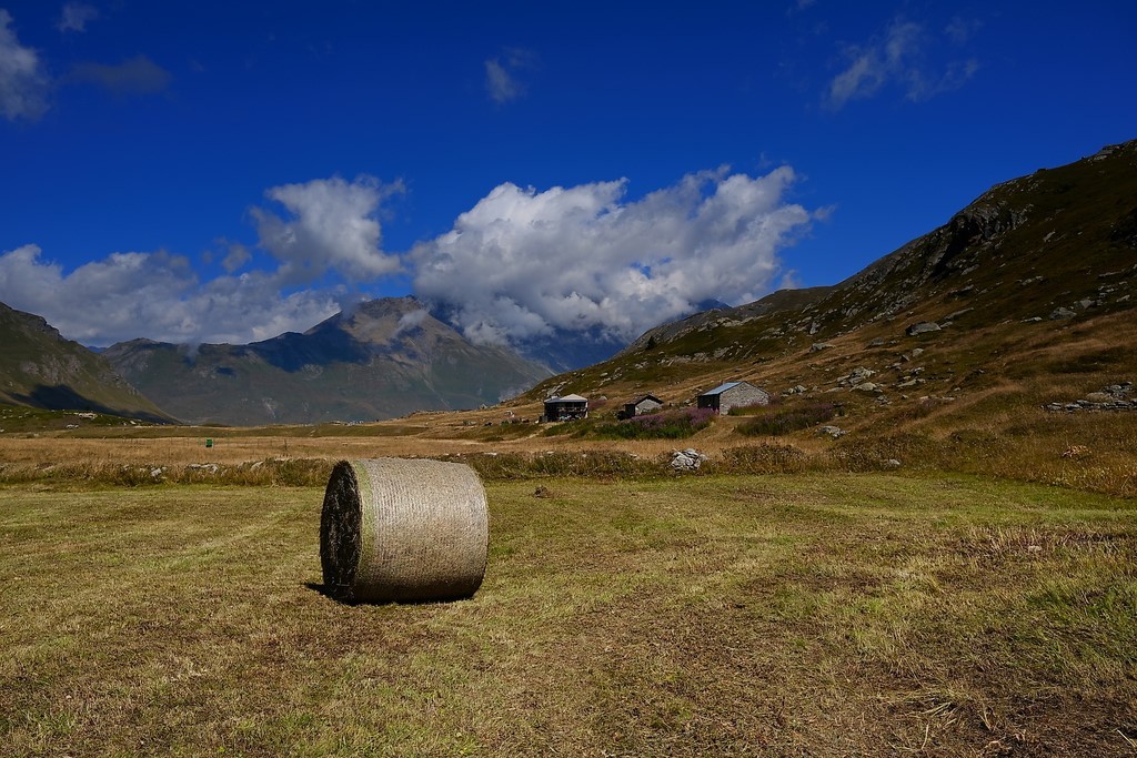 Alpages au mont cenis par savoie nature