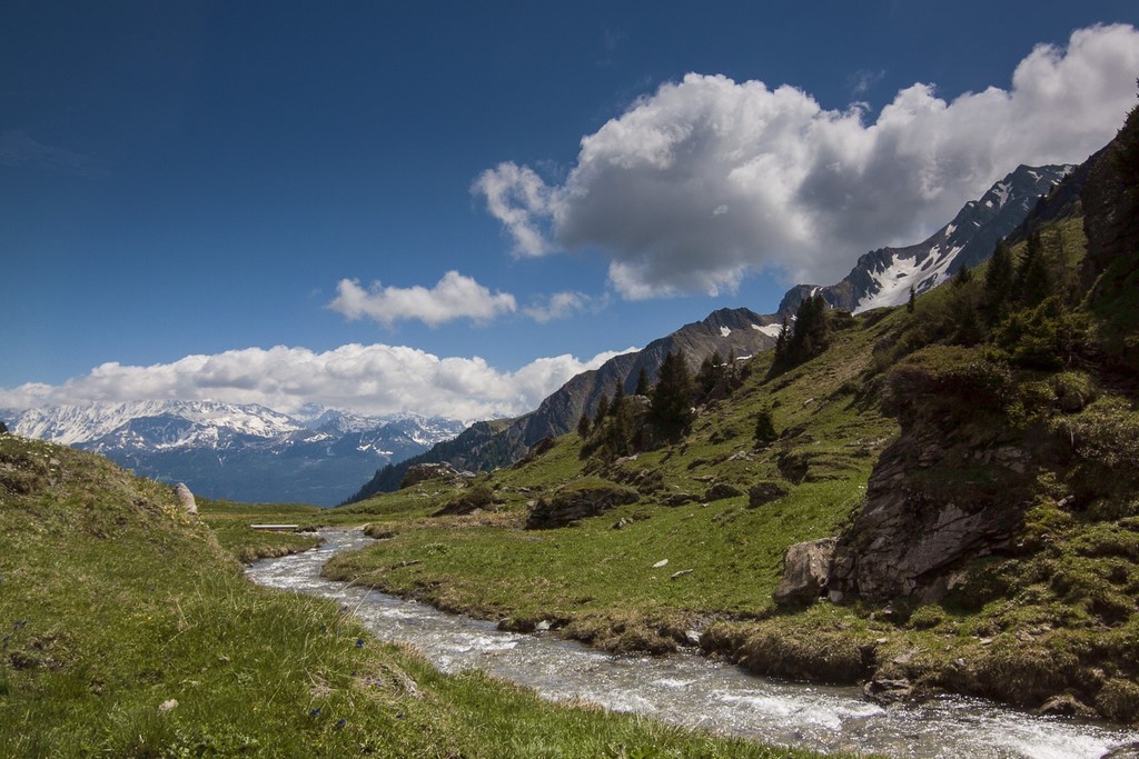 Granier Savoie Nature Michel Mirabail