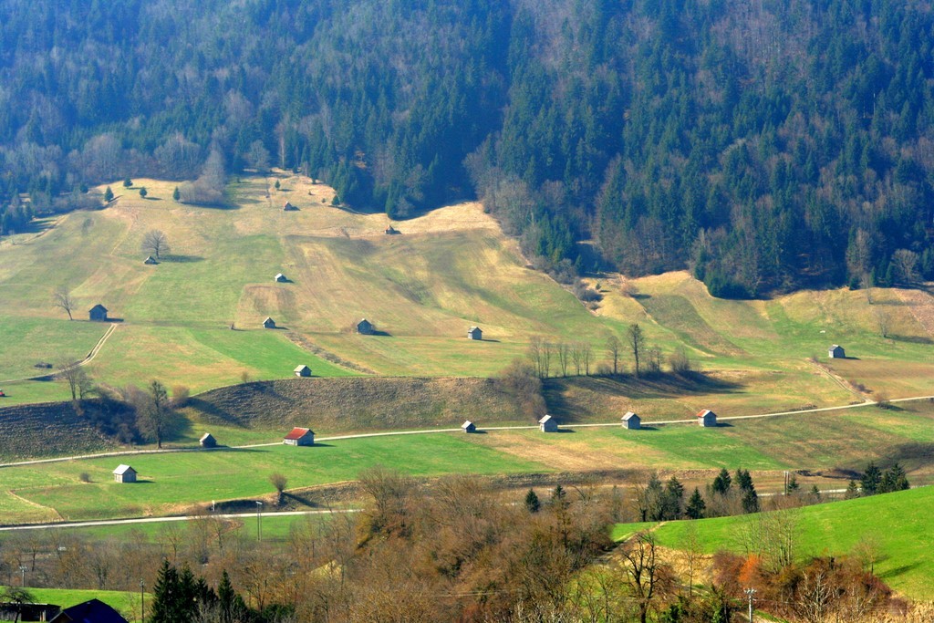 Champs aux fenaisons michel mirabail savoie nature
