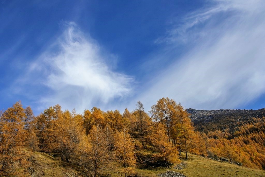 Mélèzes et nuages savoie nature