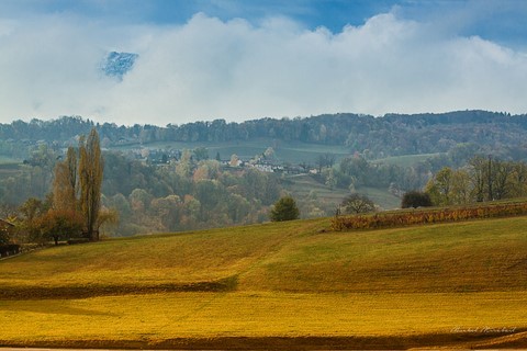 herbages en val coisin Photo Michel Mirabail