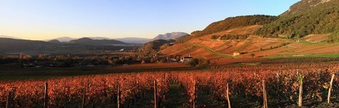 Panorama des vignobles de Jongieux