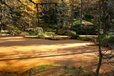 lac savoie nature