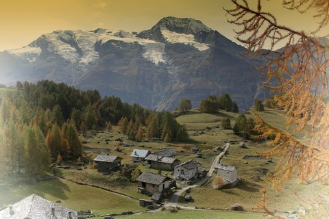 monal savoie nature
