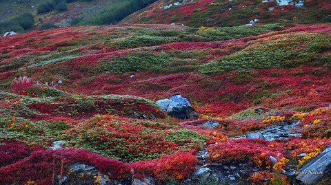 Automne en montagne