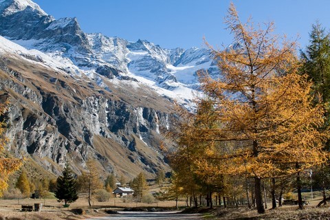 Rosuel savoie nature
