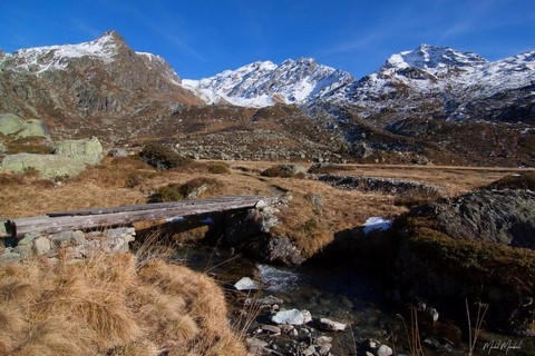 Ruitor vallon passerelle savoie nature