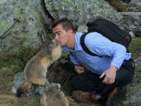 marmottes