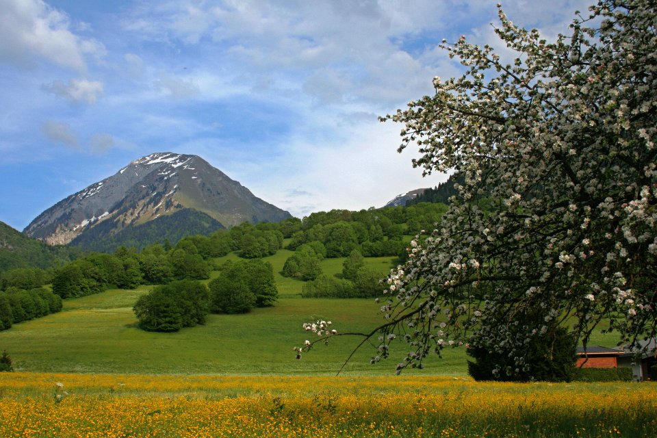 Bauges au printemps