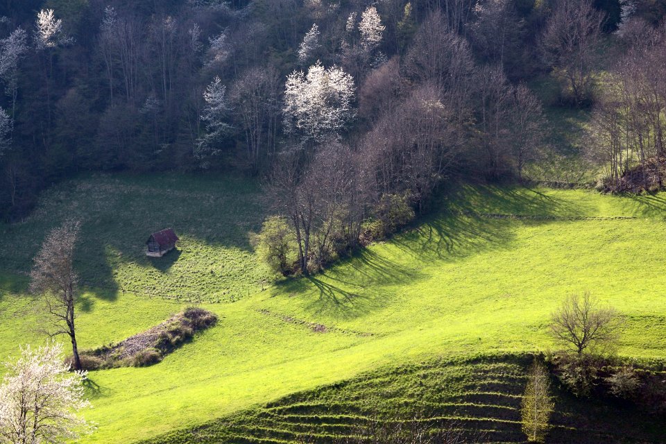 printemps en bauges