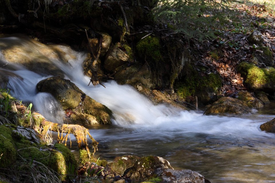 ruisseau