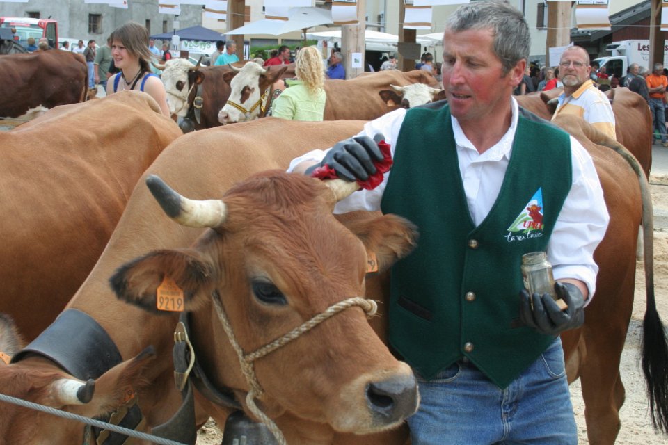 concours de tarines 10