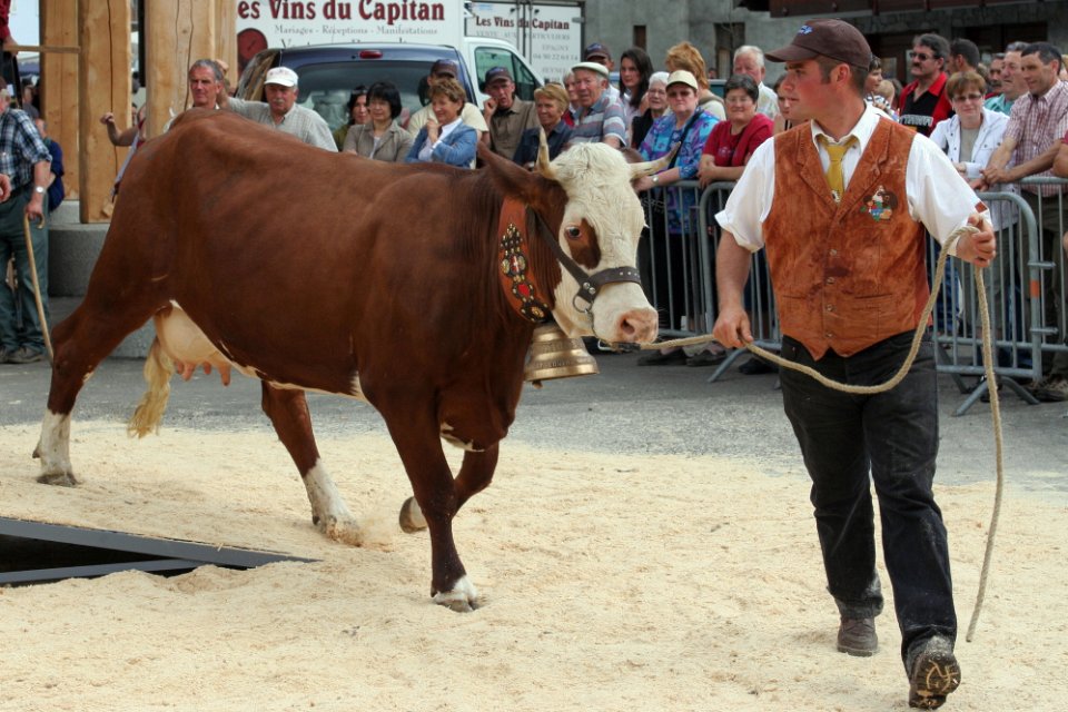 concours de tarines 2