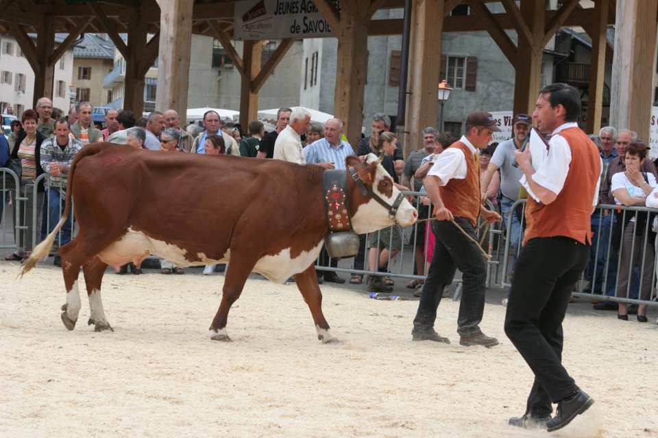concours de tarines 5