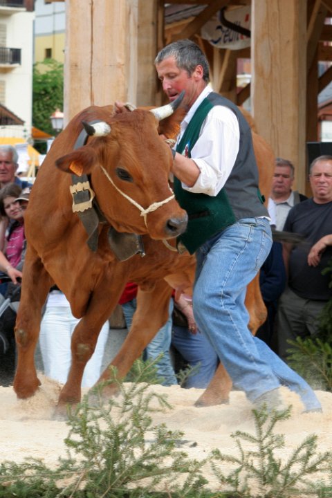 concours de tarines