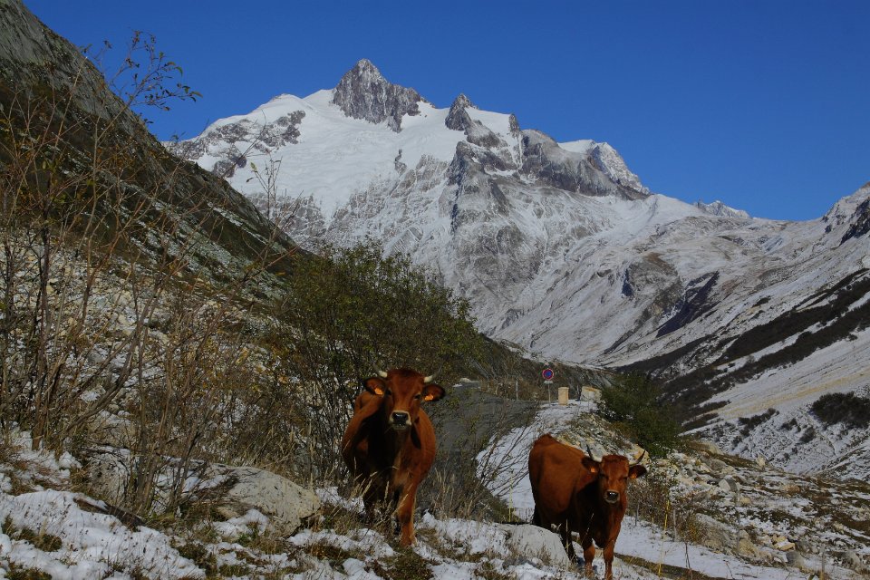 Beaufortain en automne1
