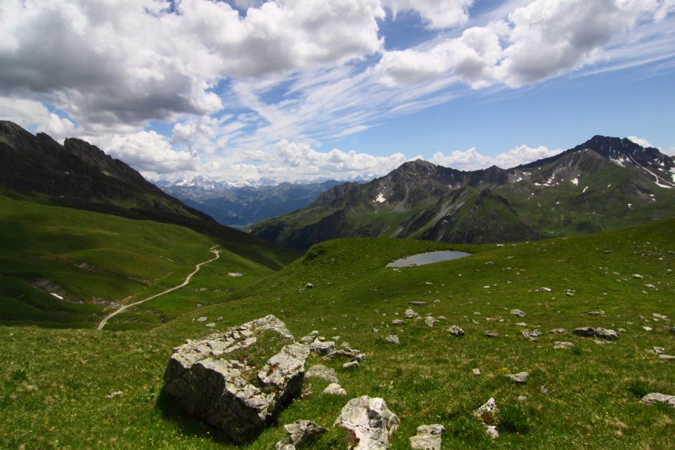 mont coin 28