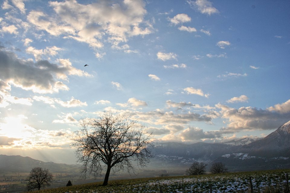 Aiton novembre 08