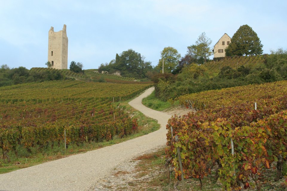 Chignin st Anthelme 016
