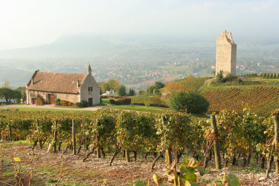Chignin st Anthelme 089