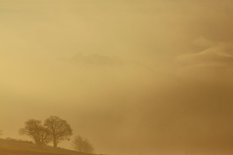 brumes de decembre 11
