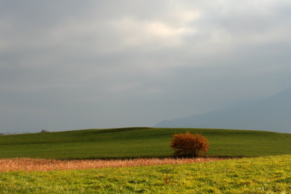 challes automne 01