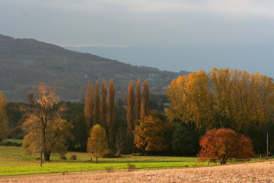 challes automne 05