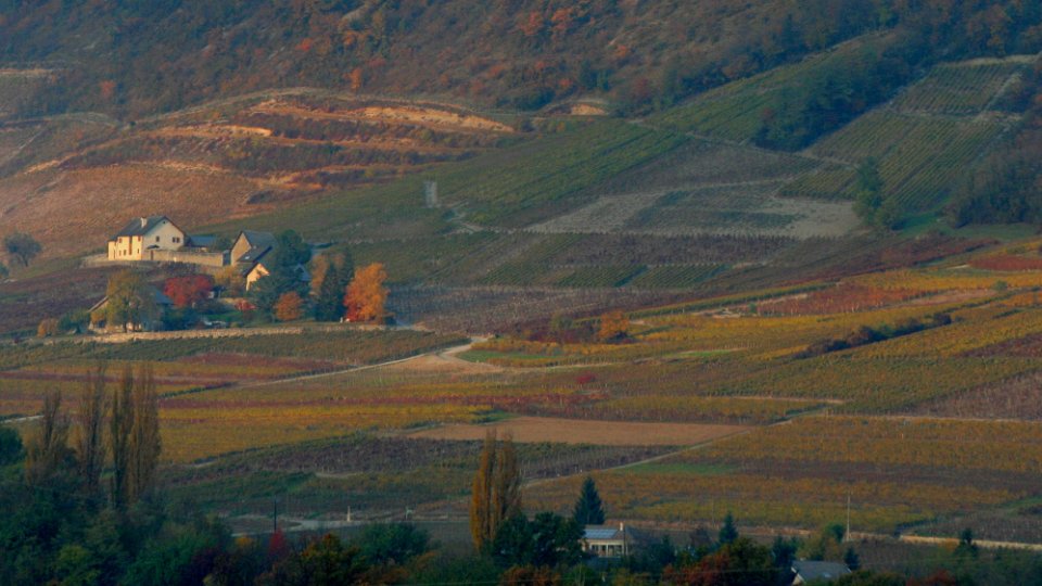challes automne 12