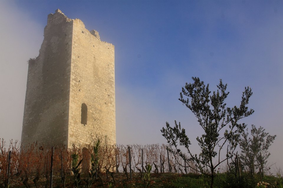 chignin st anthelme 125