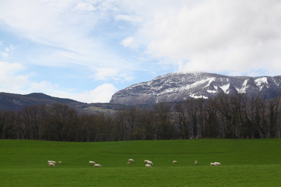 coise & st andre1
