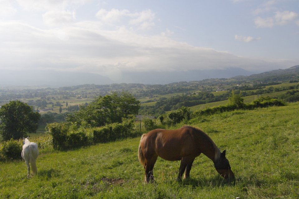 combe depuis st baldoph