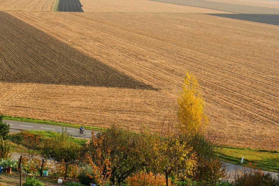 cycliste en campagne