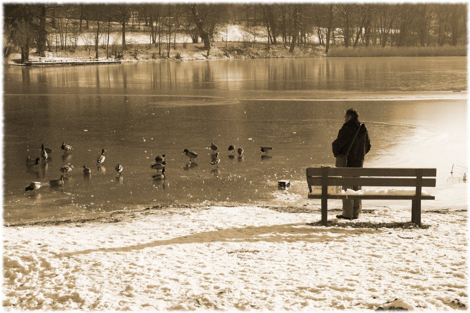 homme aux canards la rochette