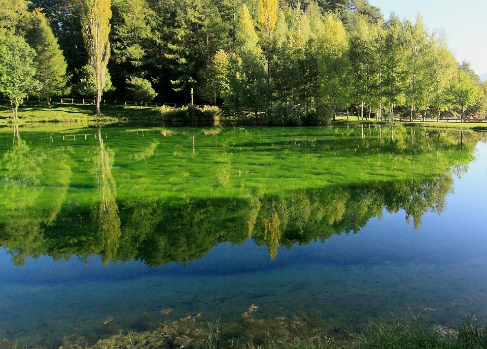 reflets automnaux10