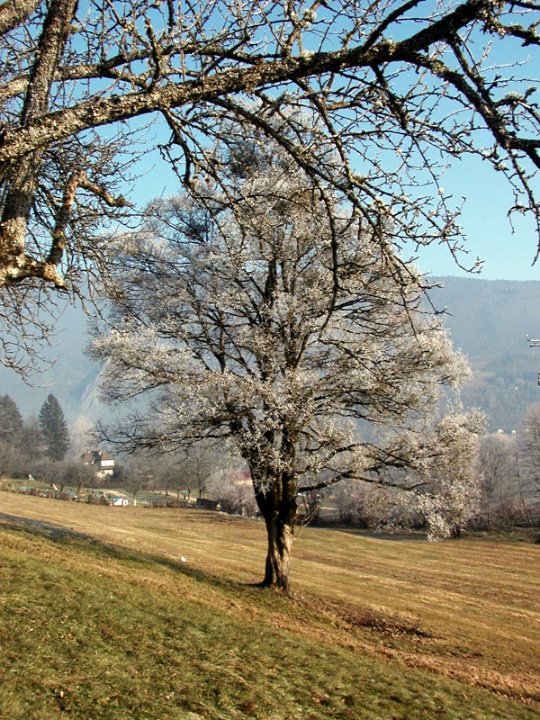 Aiguebellette dans le givre