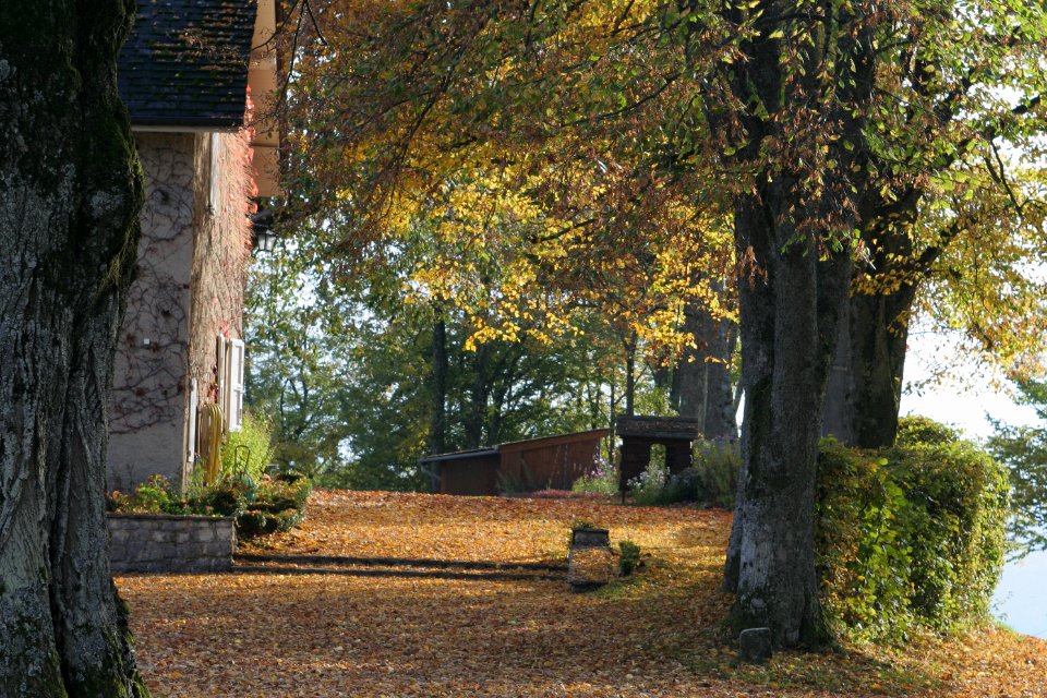 LUMIERE AUTOMNE