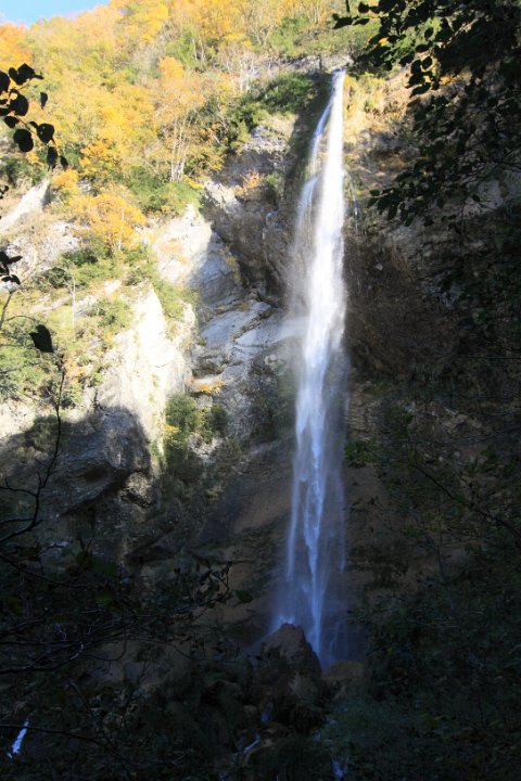 chartreuse en automne10