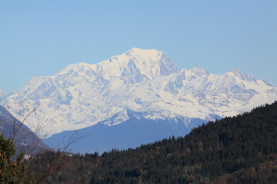 chartreuse en automne5