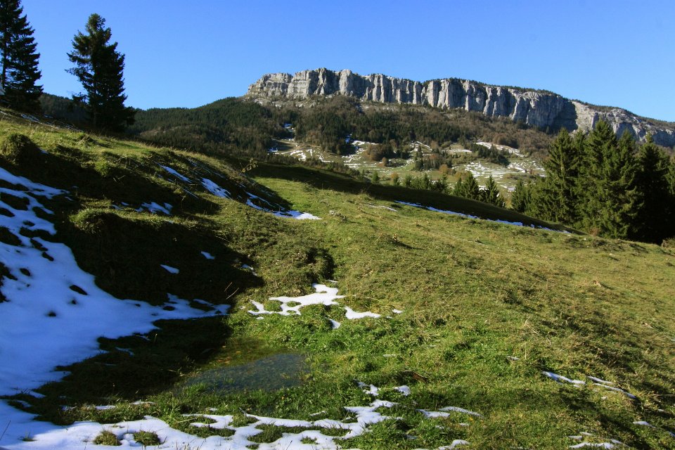 chartreuse en automne8