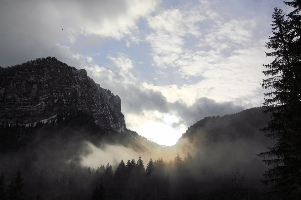 chartreuse en hiver24