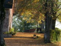 LUMIERE AUTOMNE.jpg