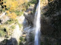 chartreuse en automne10.JPG