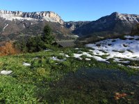 chartreuse en automne7.JPG