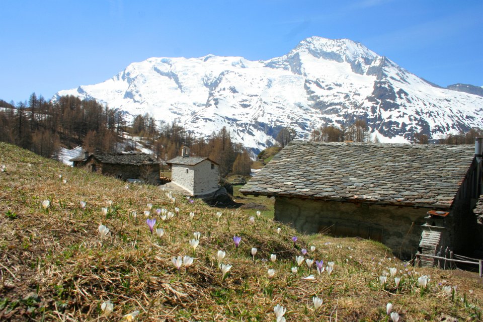 Le Monal (16)