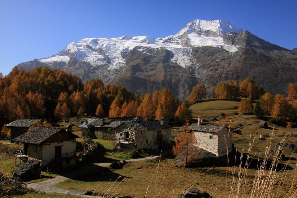le monal en automne 28