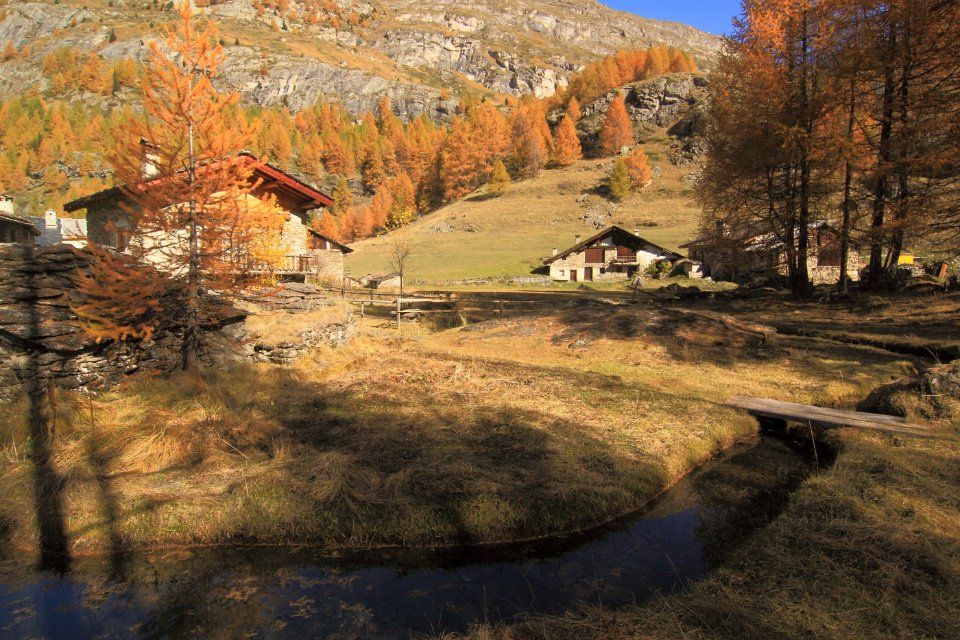 le monal en automne 36