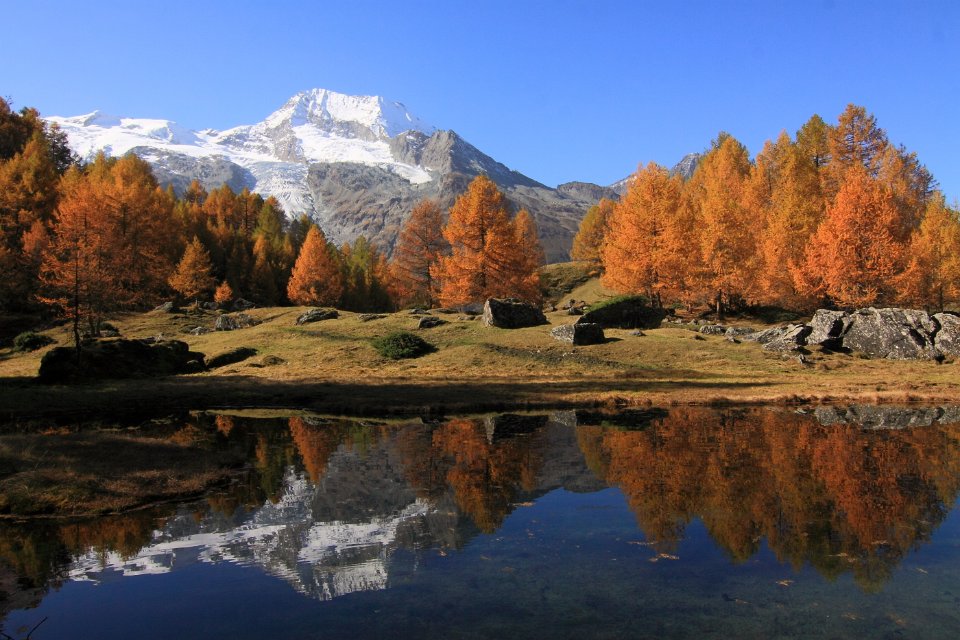 le monal en automne 41