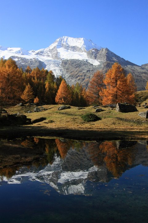 le monal en automne 53