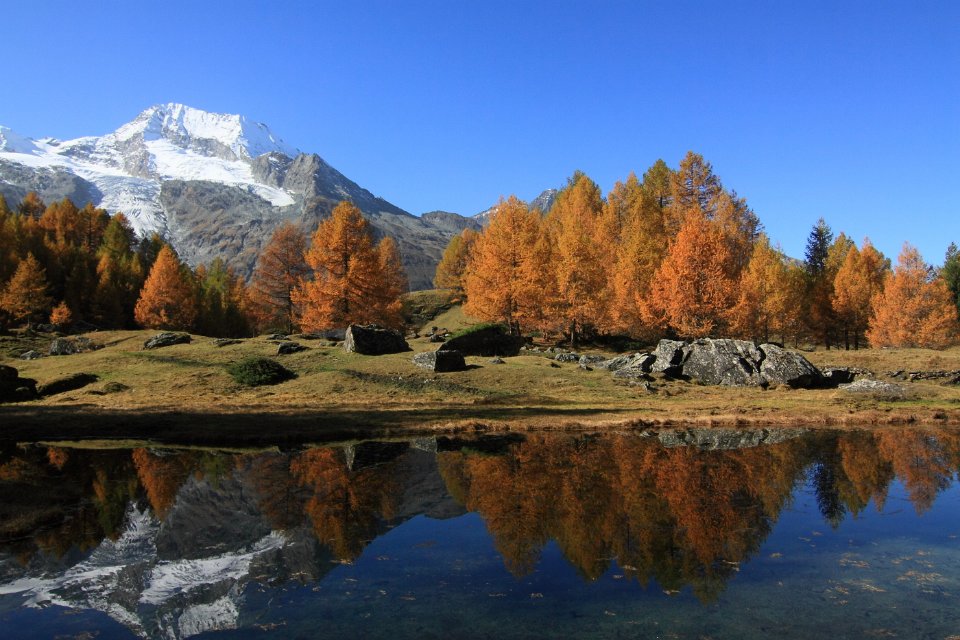 le monal en automne 54