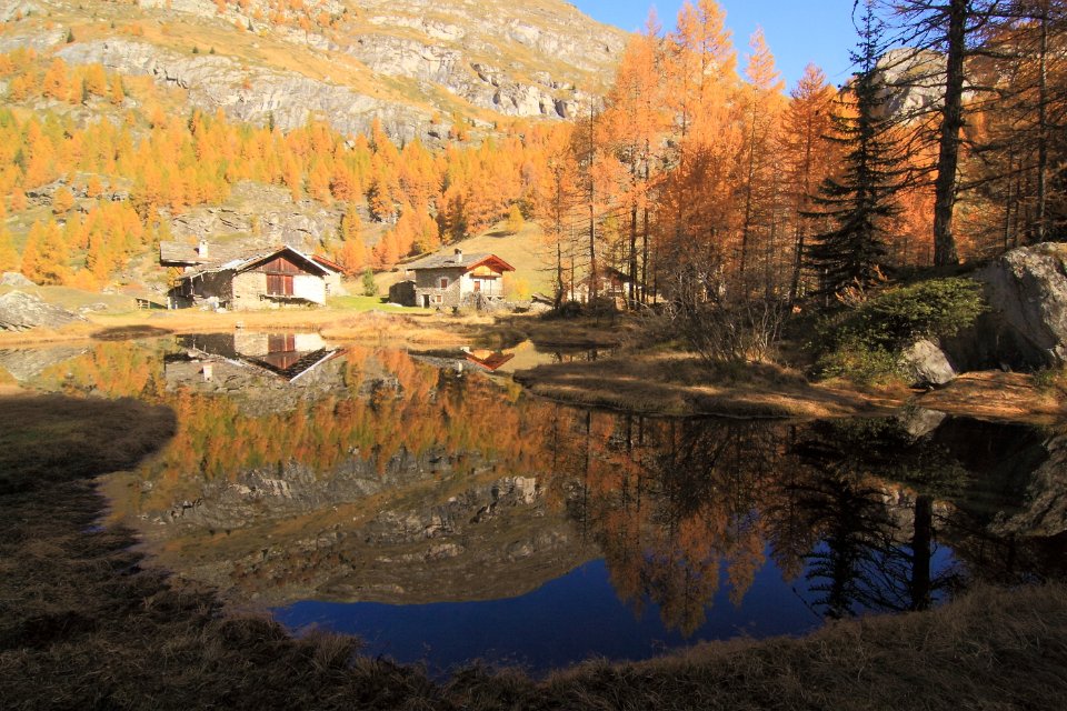 le monal en automne 66